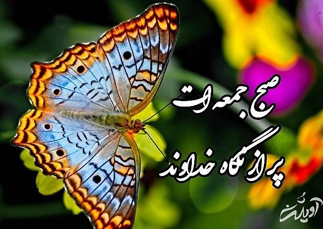 پروفایل روز جمعه